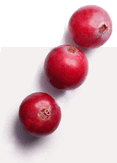 Cystiolla