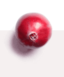 Cystiolla